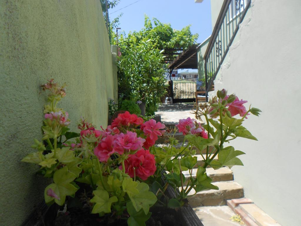 Irmak Family Pension & Apartments Eceabat Bilik gambar